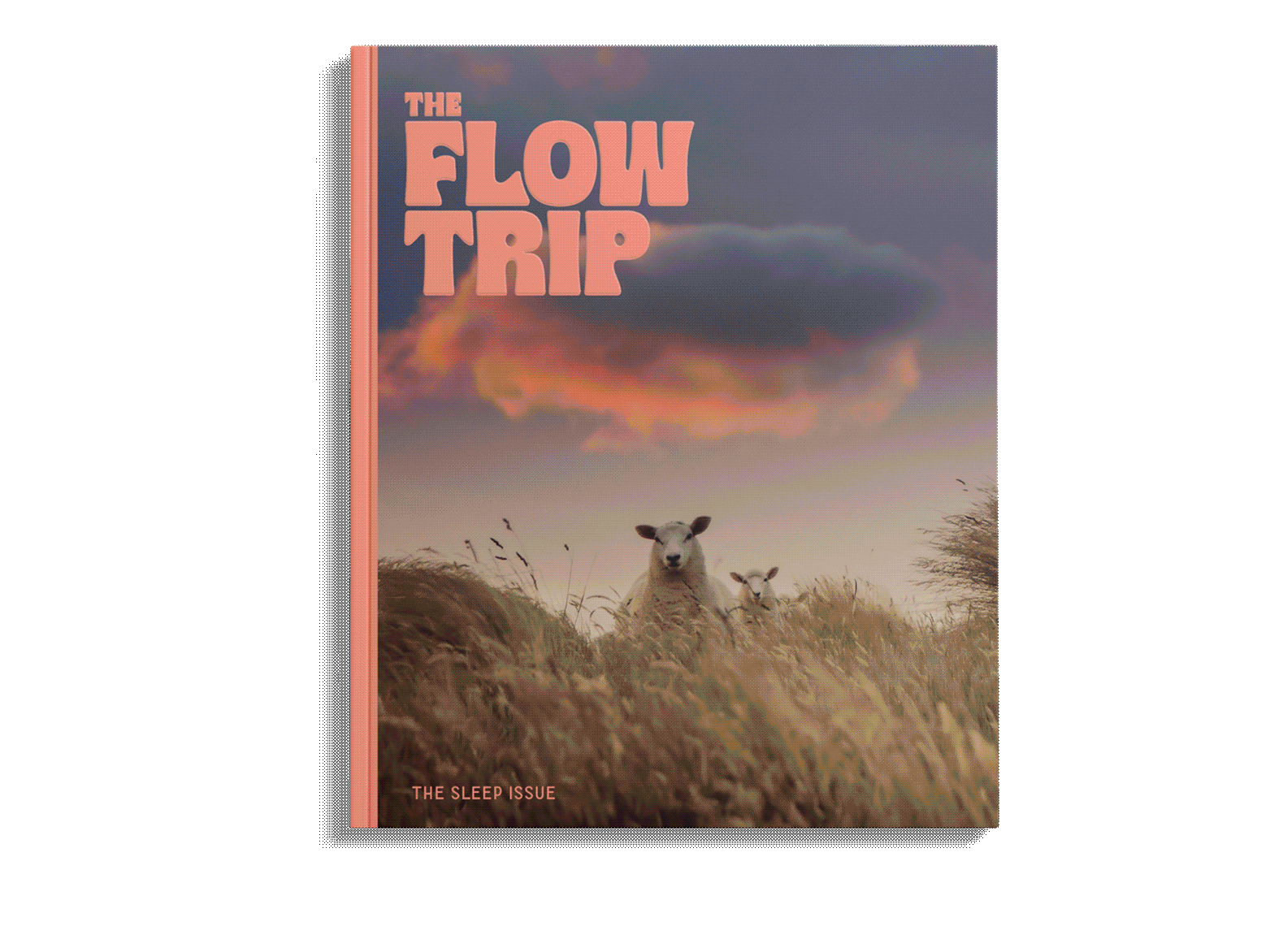 Flow Trip Magazine GIF