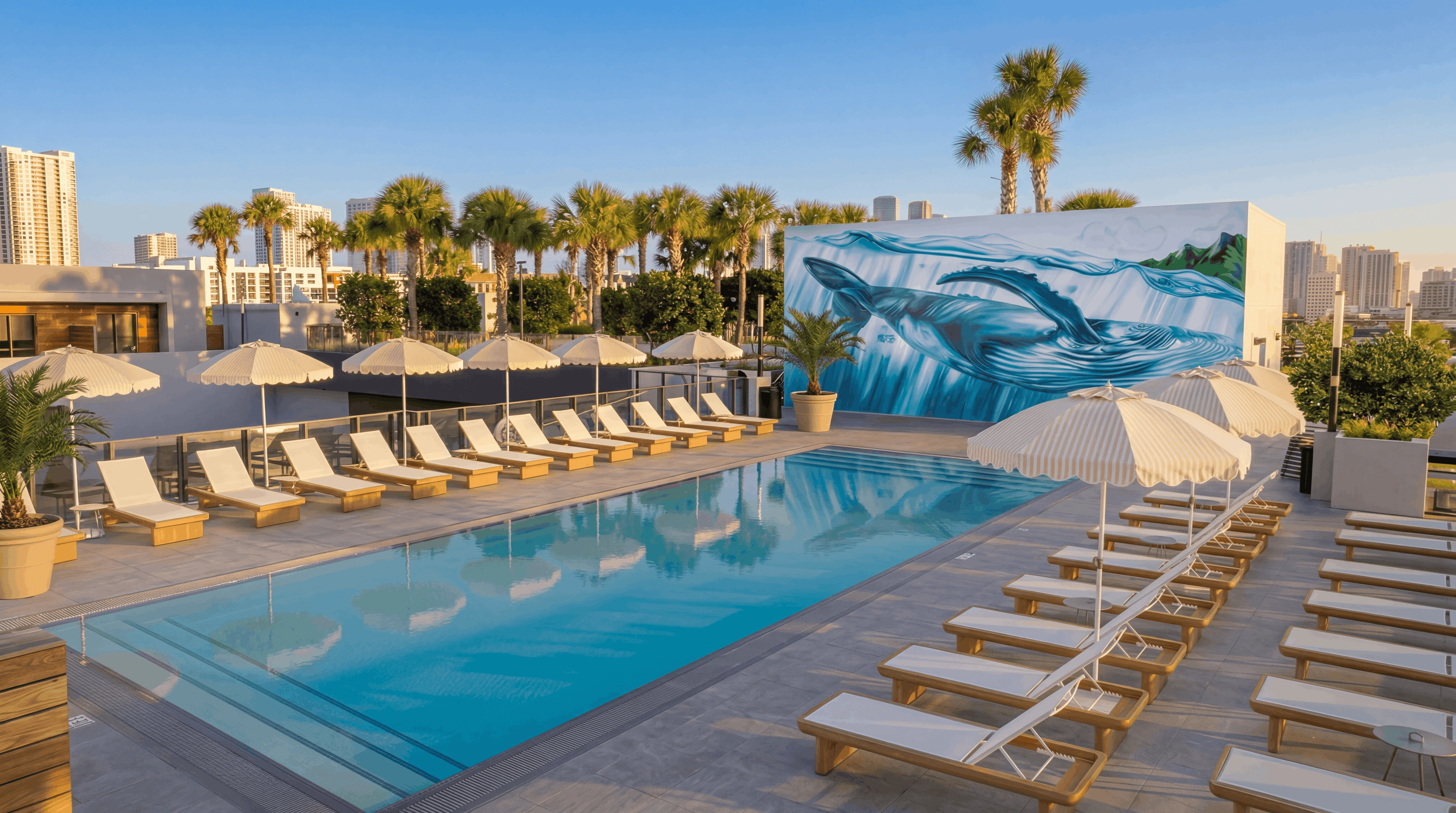 Rooftop pool with modern furniture and artwork